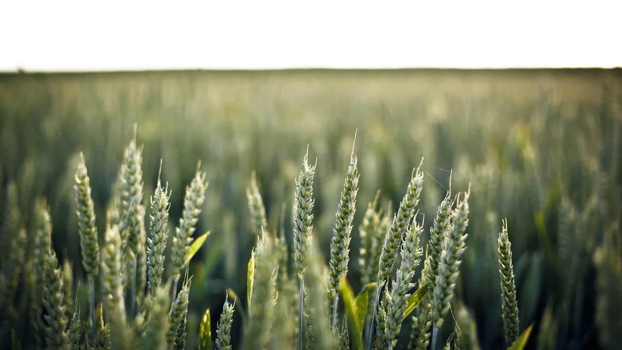 Podsumowanie ostatniej kolejki ligowej