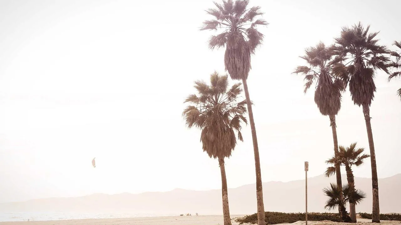 Liga Mistrzów - przegląd fazy grupowej