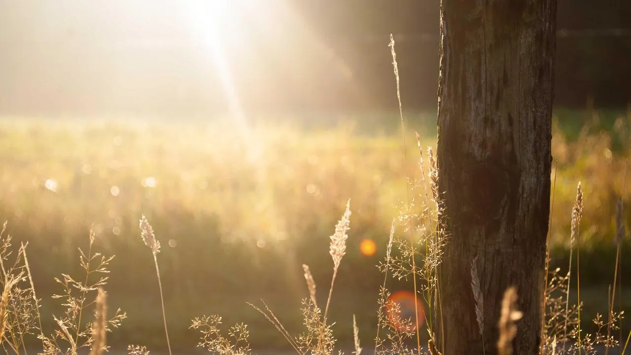Reprezentacja Polski - przygotowania do meczu