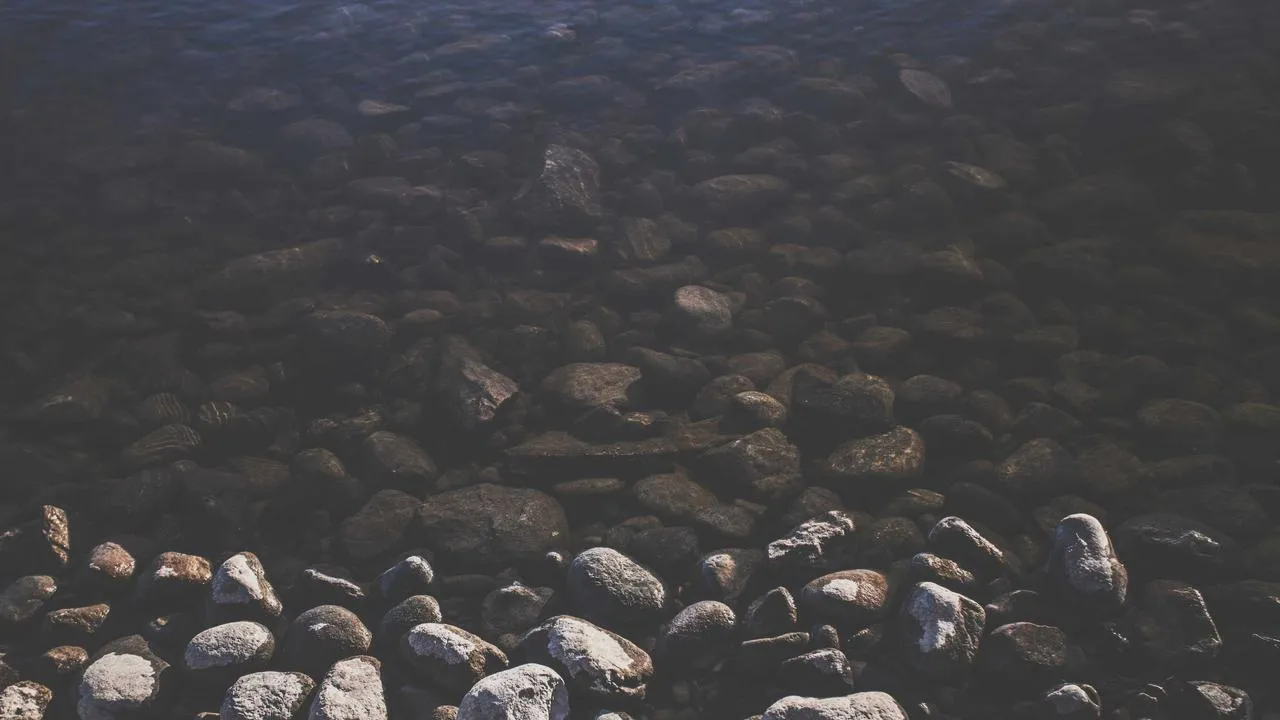 Podróże życia - opowieści z wypraw