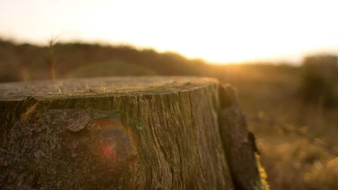 Rozmowa z przedsiębiorcą roku