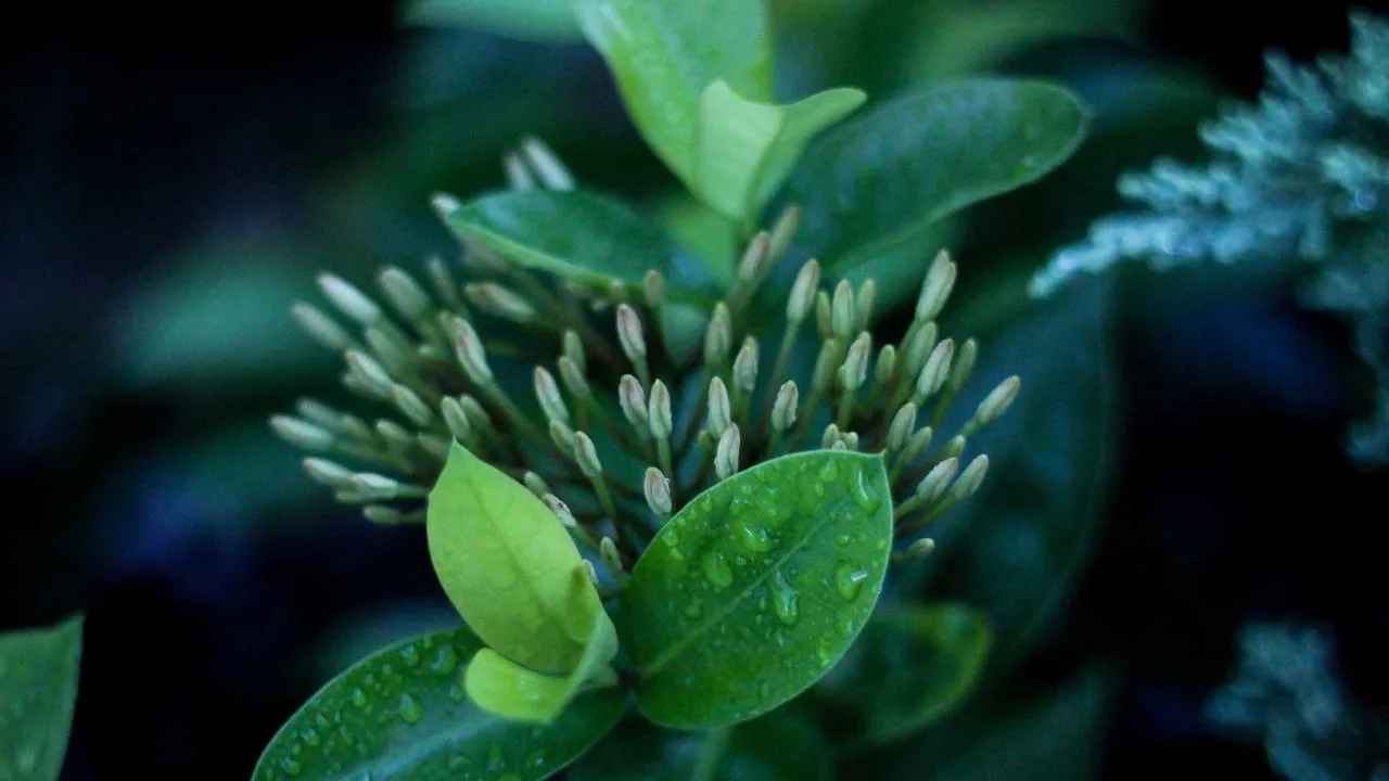 Najnowsze premiery teatralne i filmowe