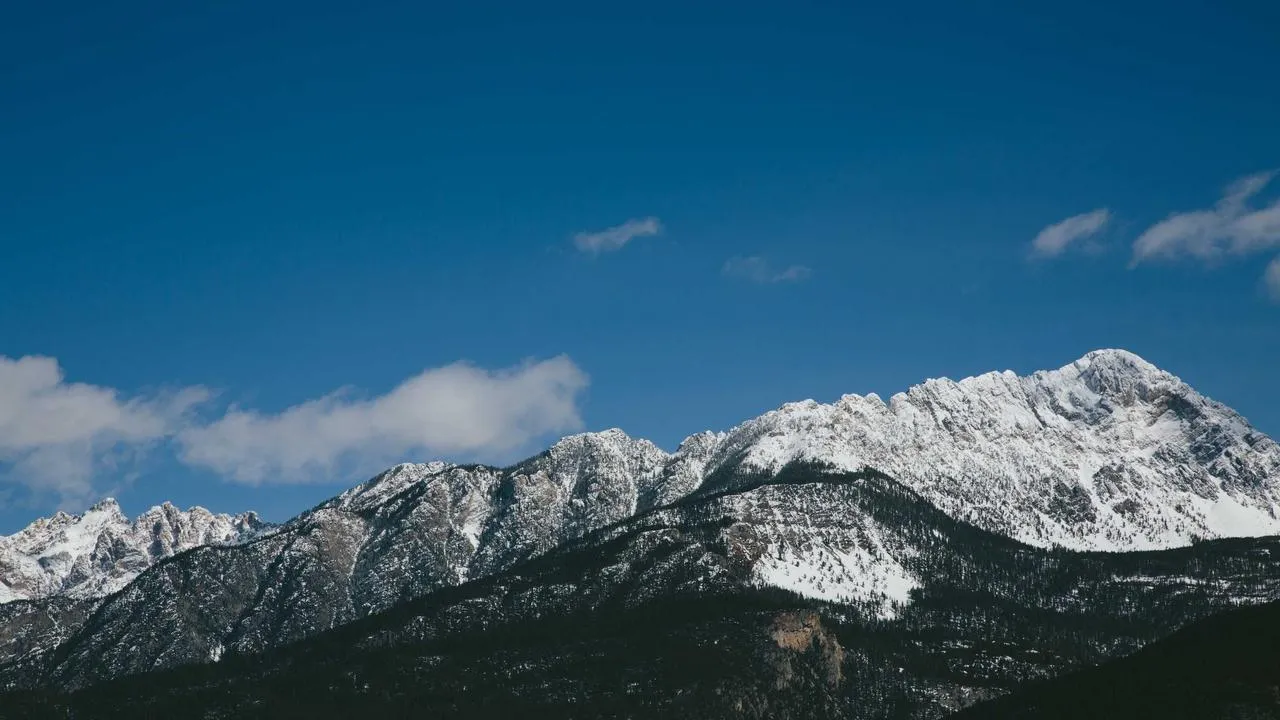Medycyna naturalna - co działa