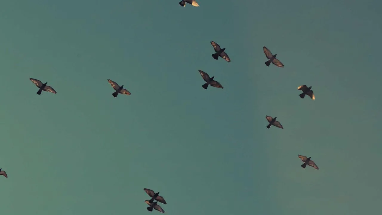 Kosmos - nowe misje i odkrycia