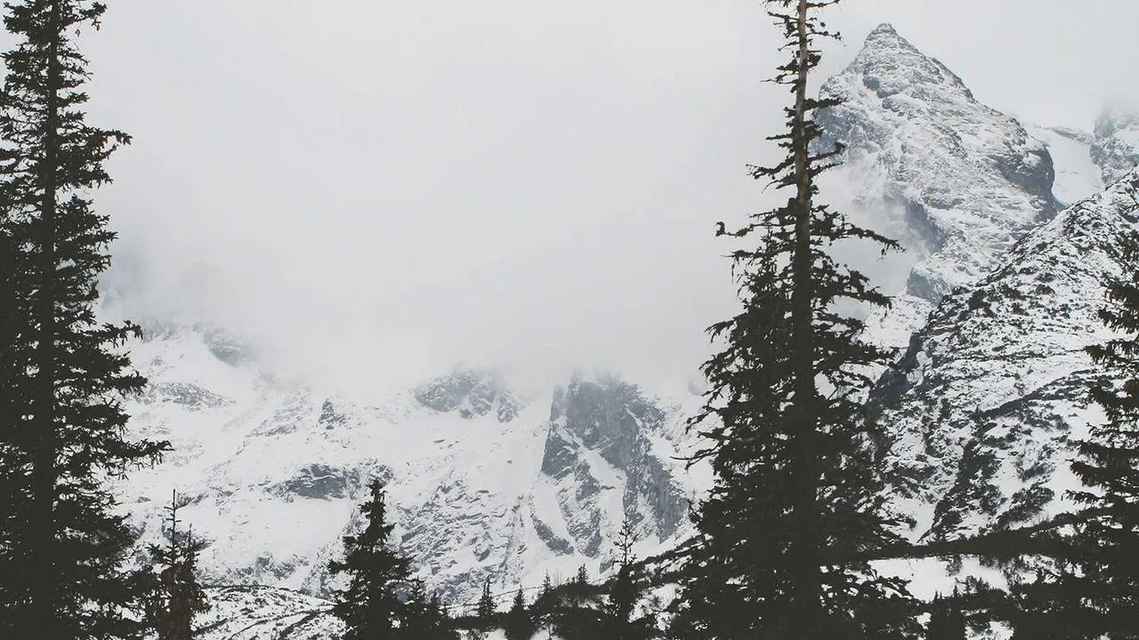 Ekologia i zmiany klimatyczne