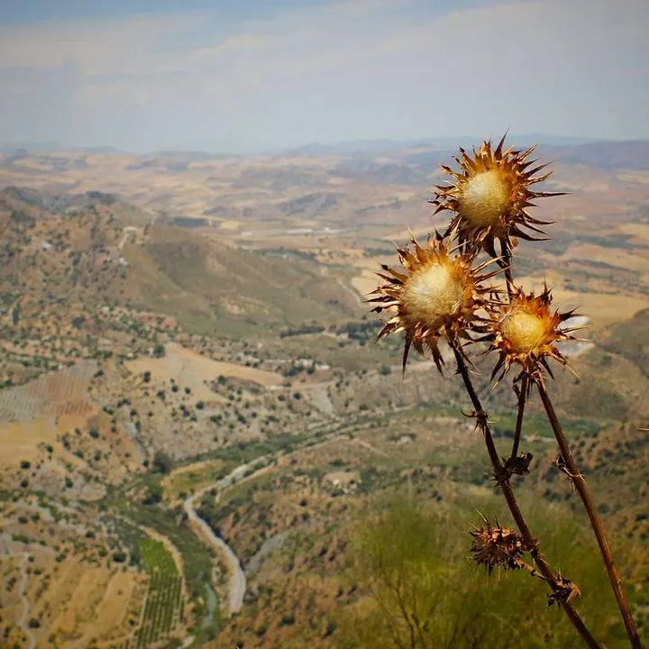 Wizyta papieża w Afryce