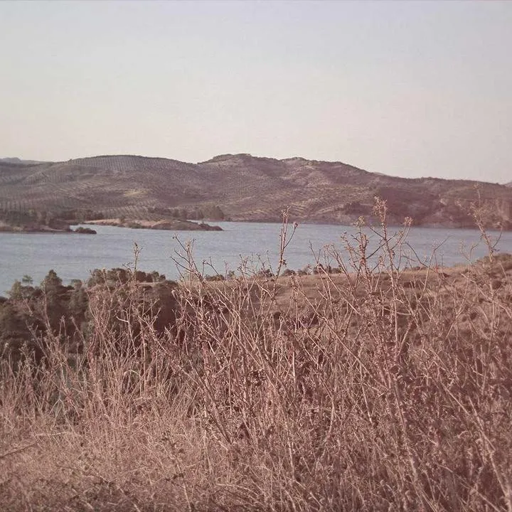 Przesłuchanie przed komisją śledczą