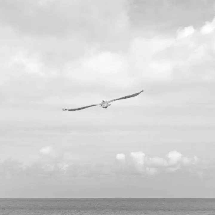 Otwarcie nowej autostrady A2