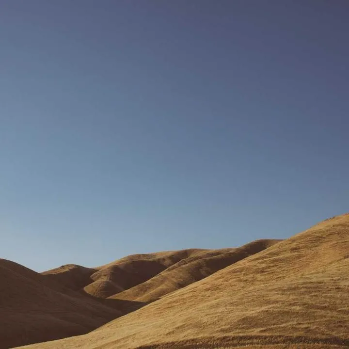 Decyzja RPP o stopach procentowych