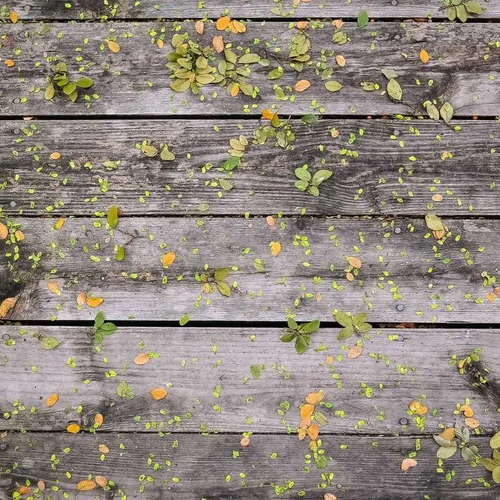 Inflacja - najnowsze dane