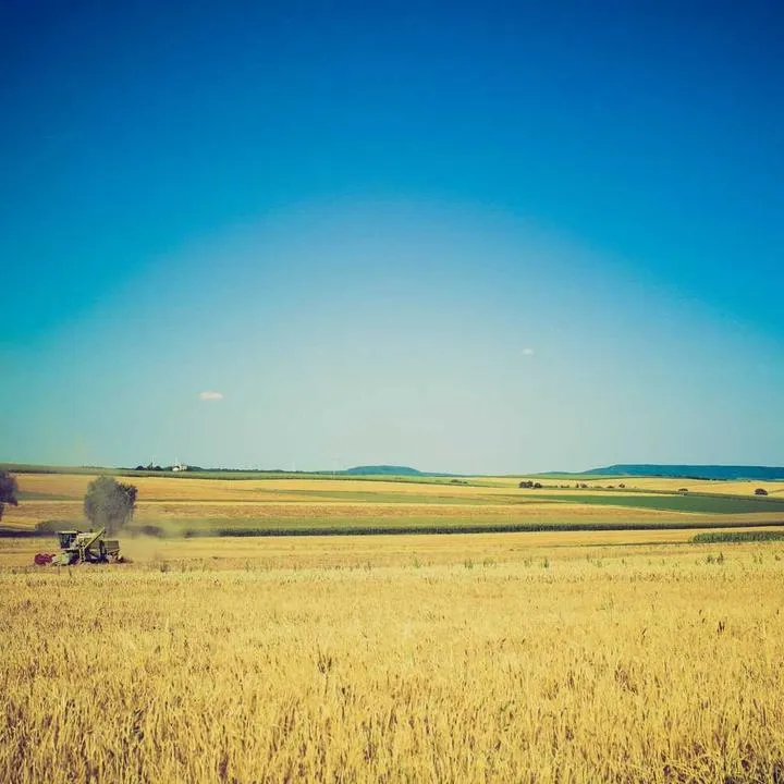 Granica wschodnia - wzmocnienie